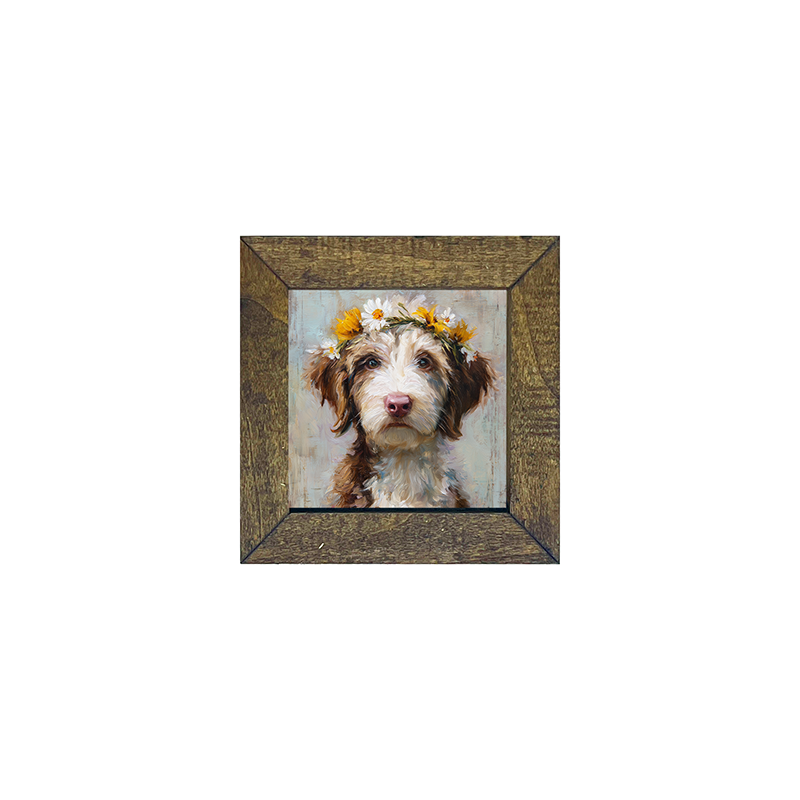 Spring Season Brown and White Labradoodle - Square Frame