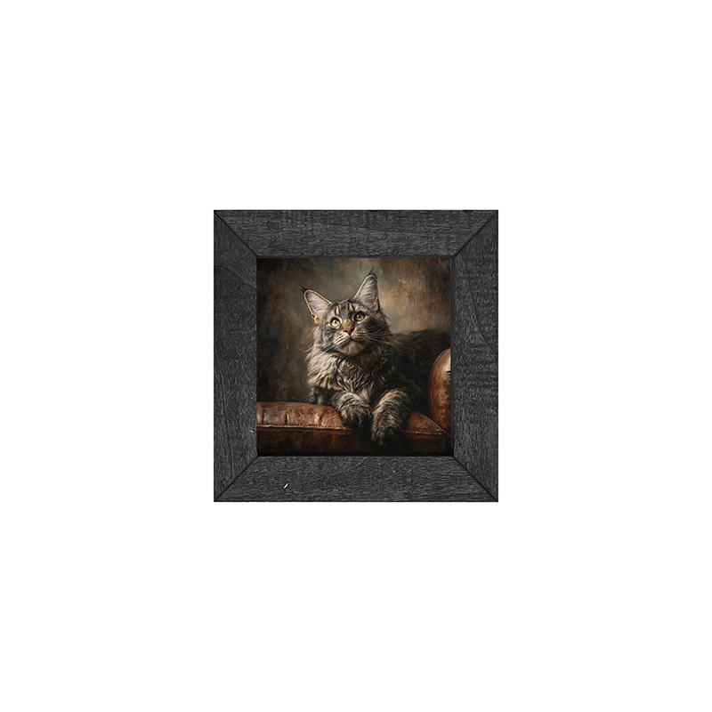 Armchair with Maine Coon Cat - Square Frame