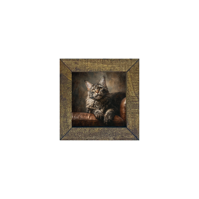 Armchair with Maine Coon Cat - Square Frame
