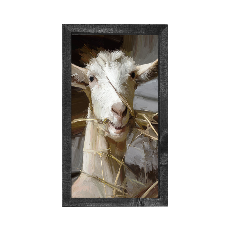Goat Eating Grass