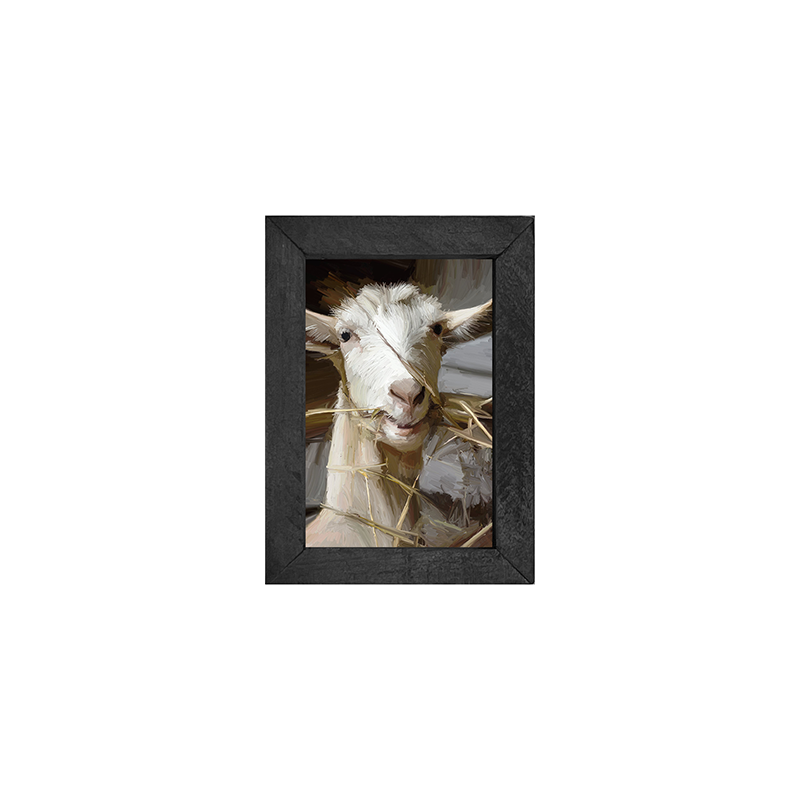 Goat Eating Grass