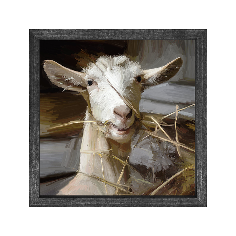 Goat Eating Grass