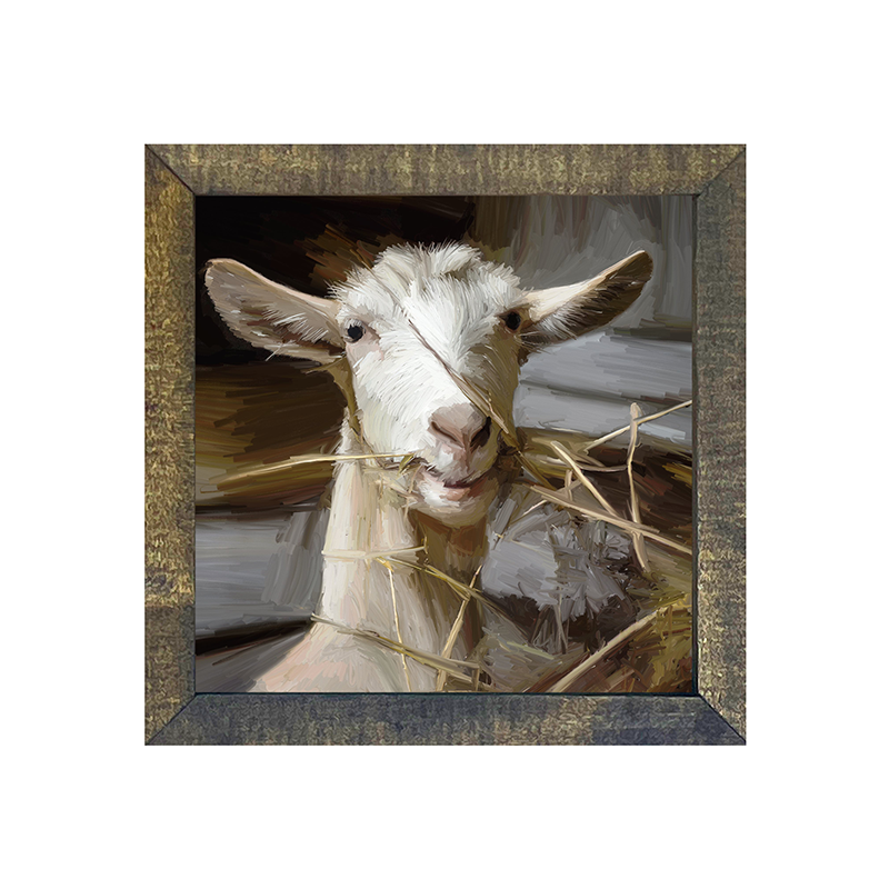 Goat Eating Grass
