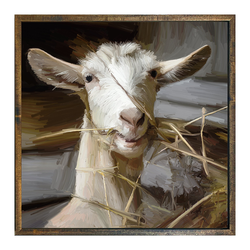 Goat Eating Grass