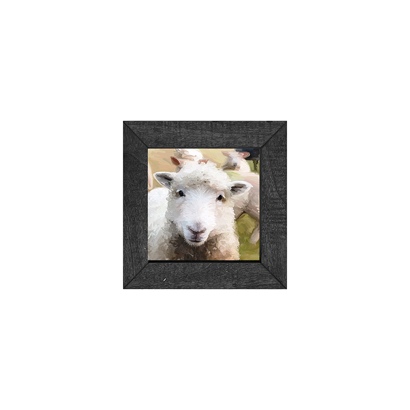 Lamb