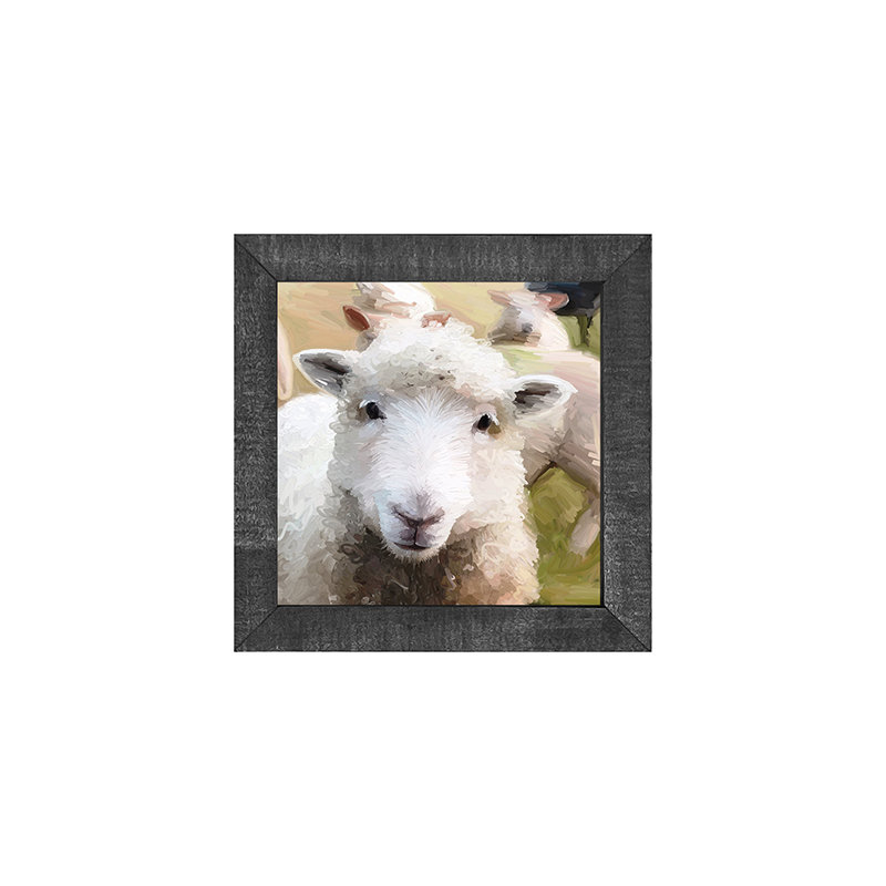 Lamb