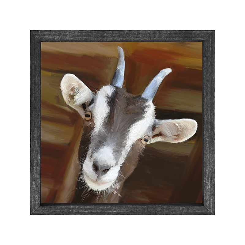 Horned Goat