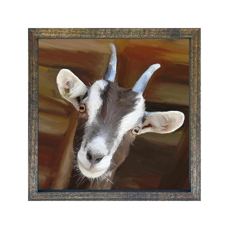 Horned Goat