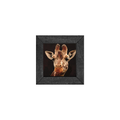 Gallery Frame