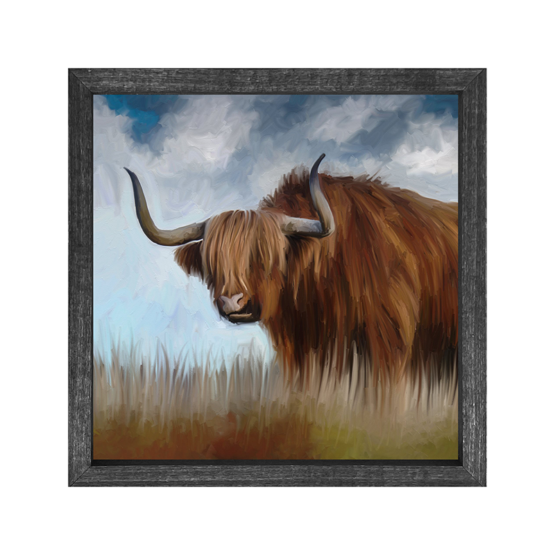 Highland Bull
