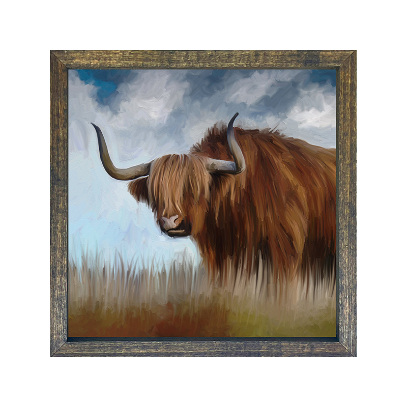 Highland Bull