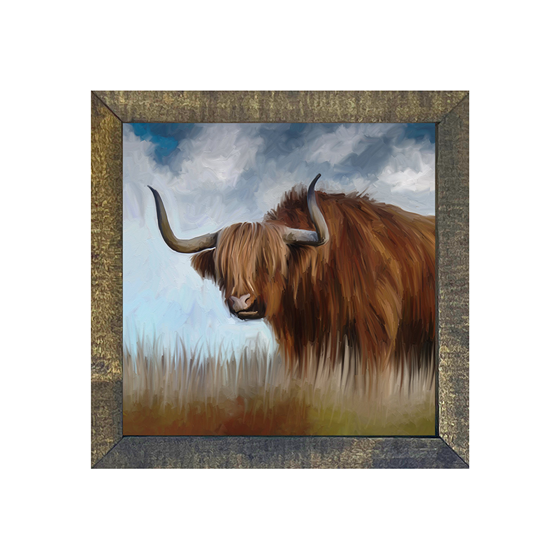 Highland Bull