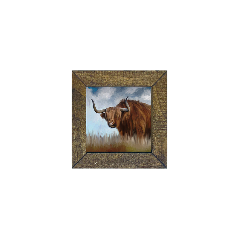 Highland Bull