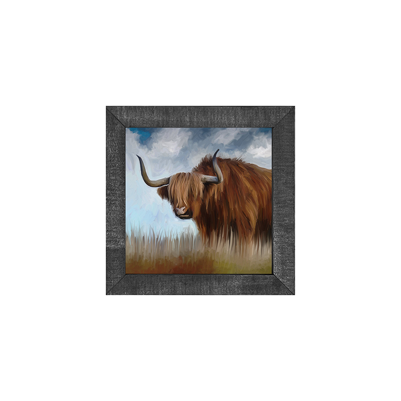 Highland Bull