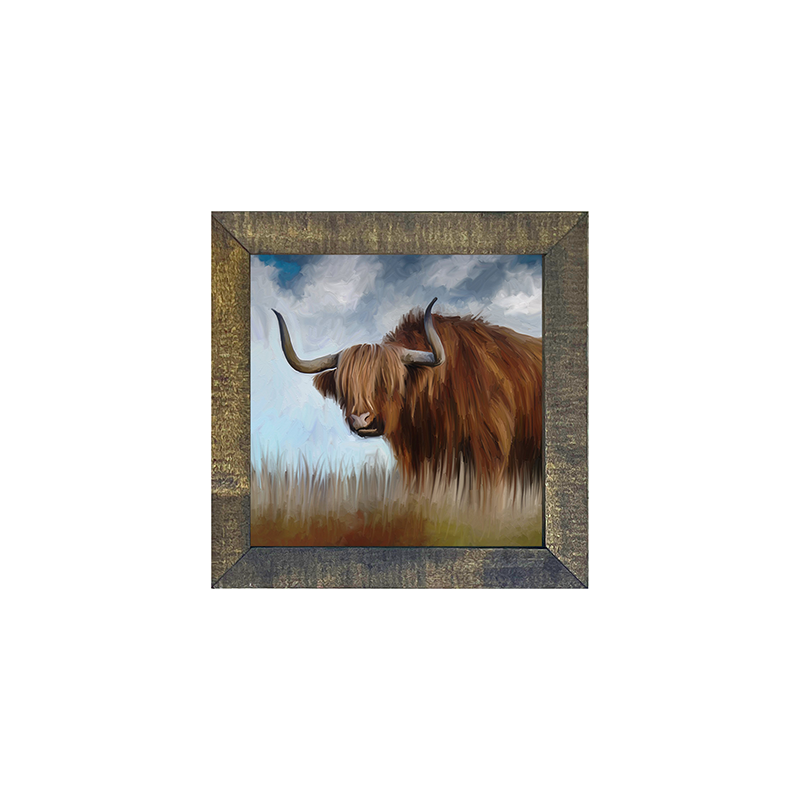 Highland Bull