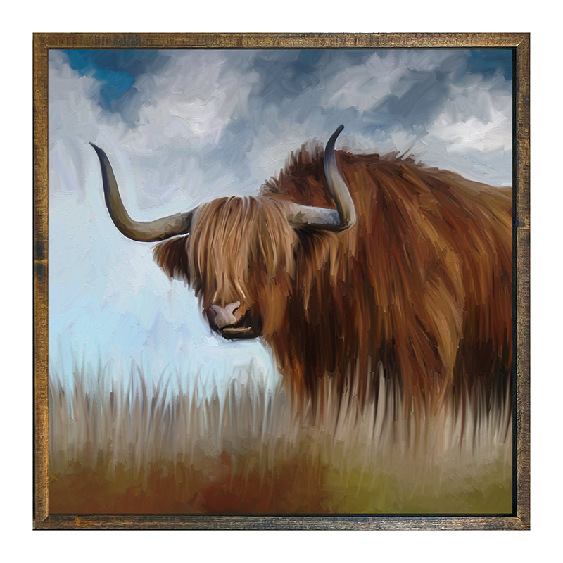 Highland Bull