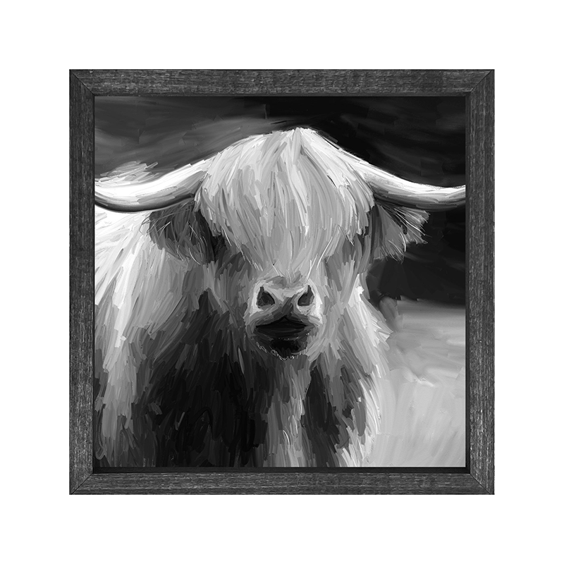 Highland Cow