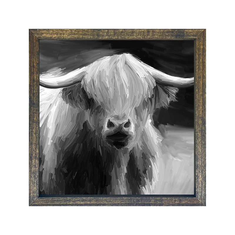Highland Cow
