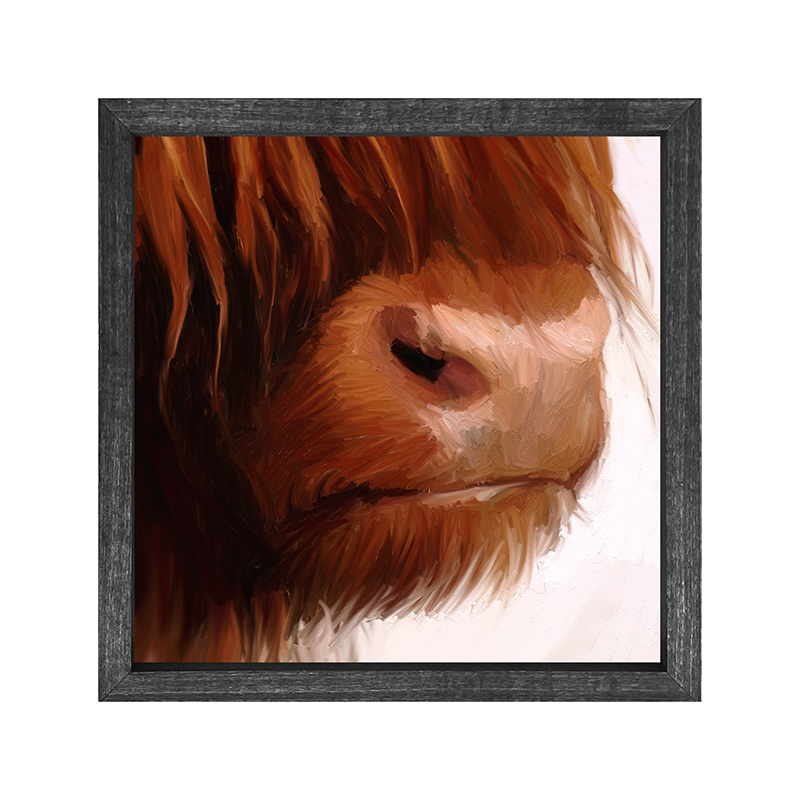 Highland Cow Face