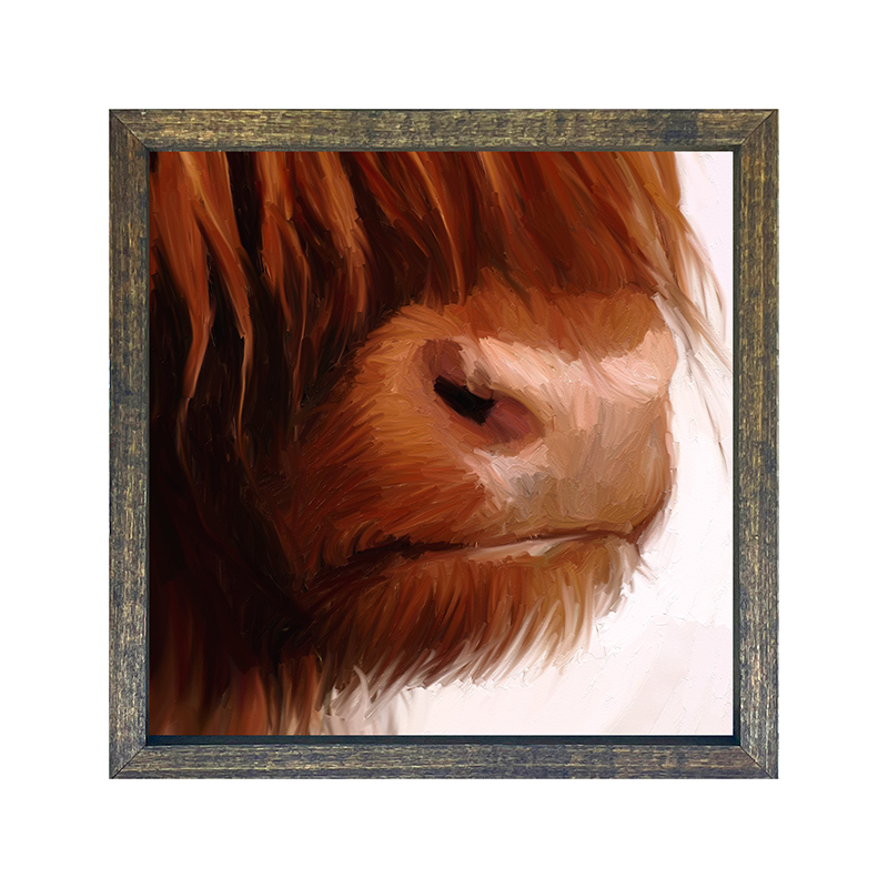 Highland Cow Face