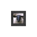Gallery Frame