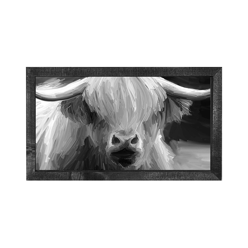 Highland Cow