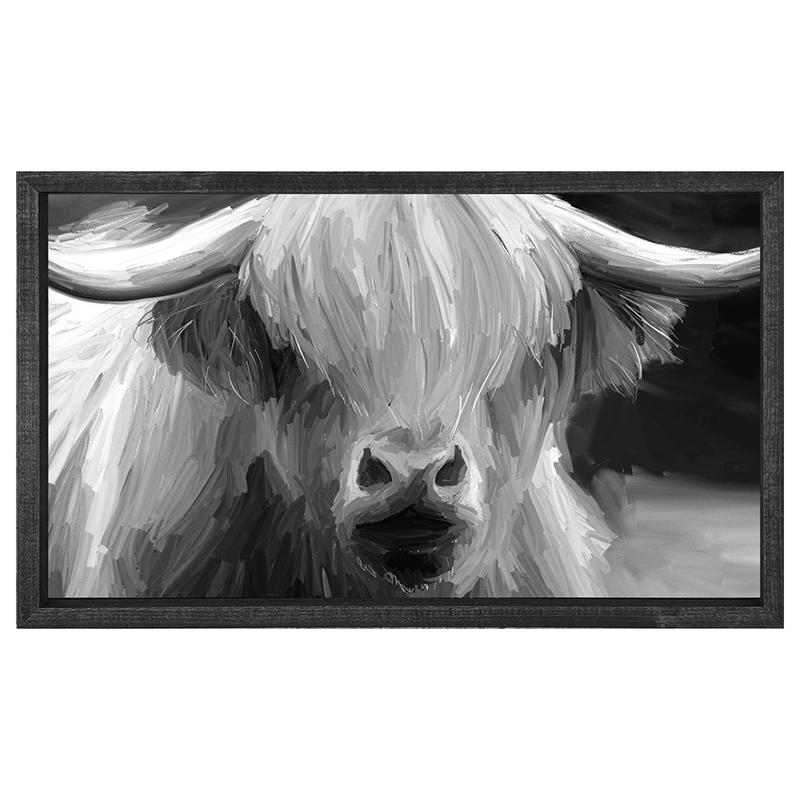 Highland Cow