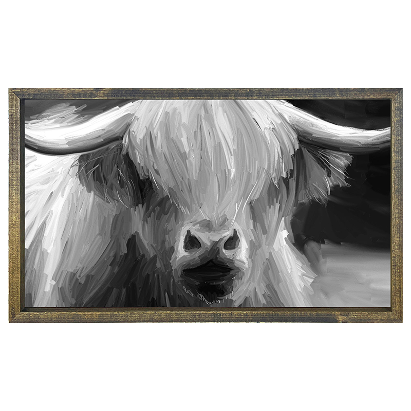 Highland Cow