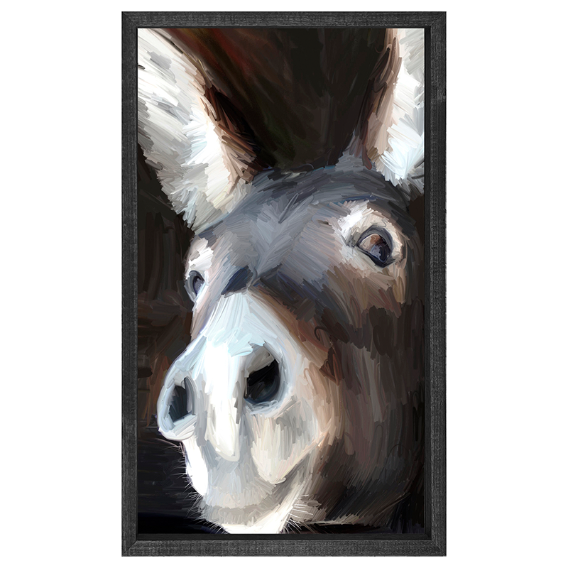 Donkey