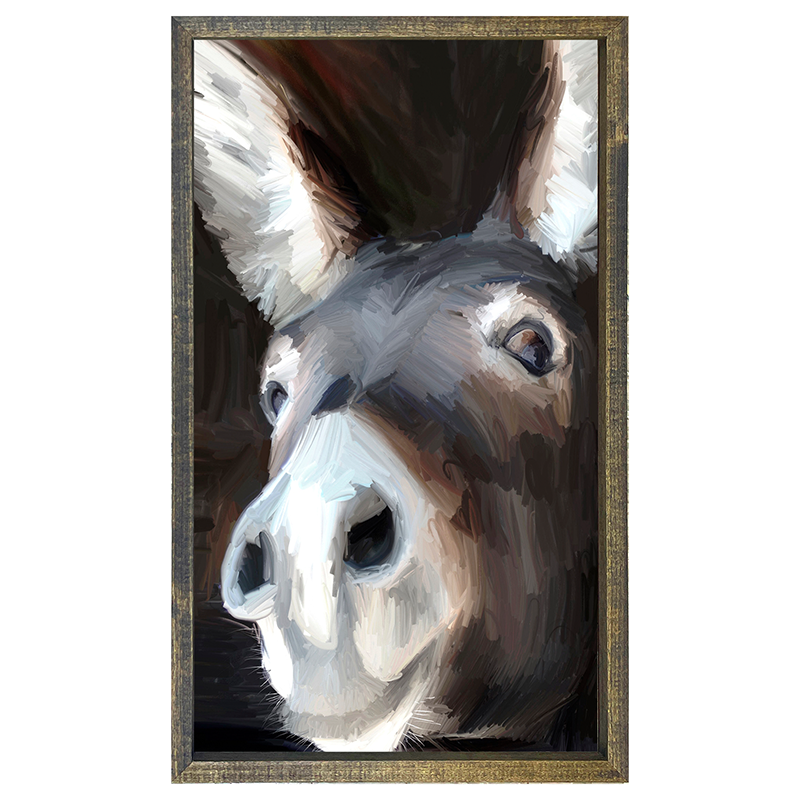 Donkey
