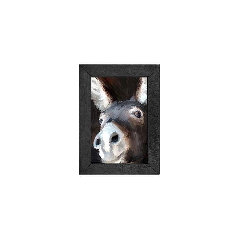 Donkey
