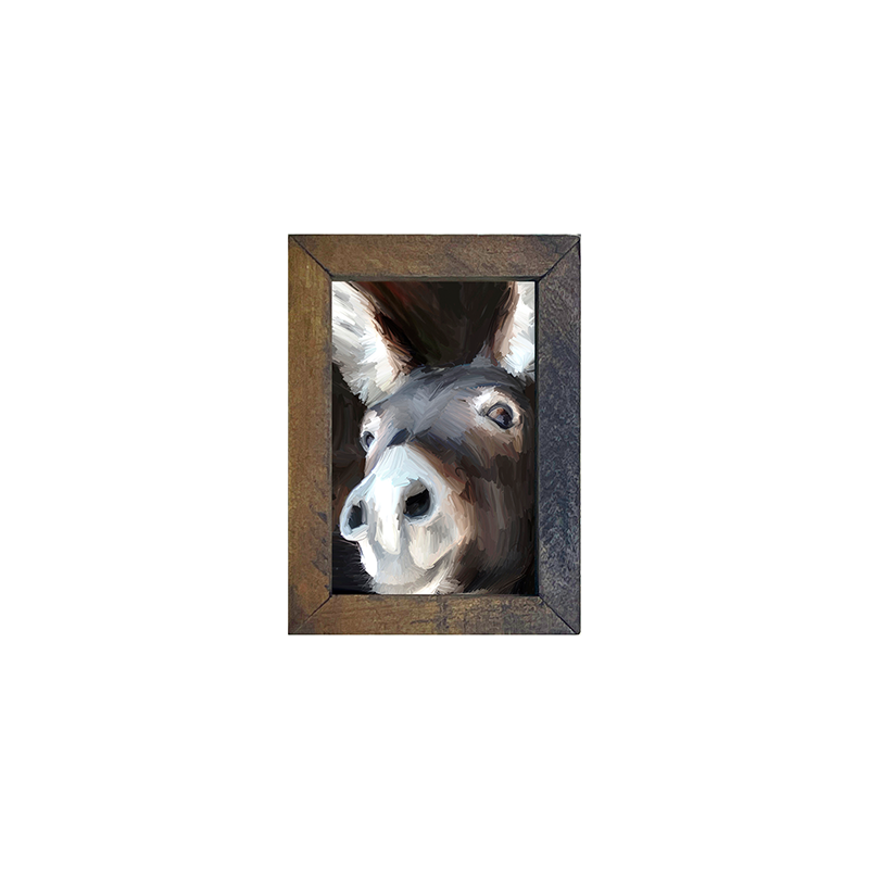 Donkey
