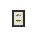 Gallery Frame