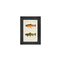Gallery Frame