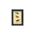 Gallery Frame