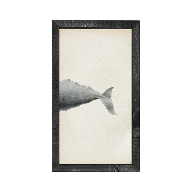 Fish-Whale tail