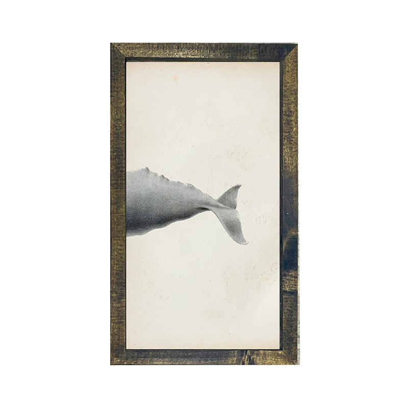 Fish-Whale tail
