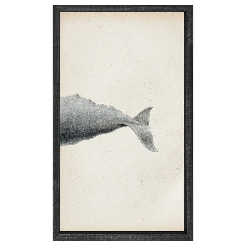 Fish-Whale tail