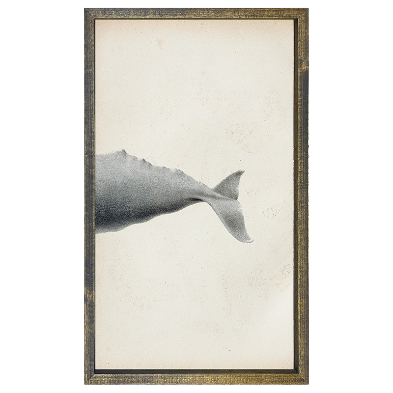 Fish-Whale tail
