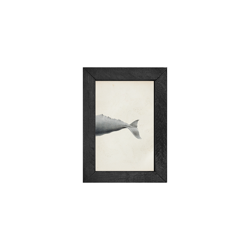 Fish-Whale tail