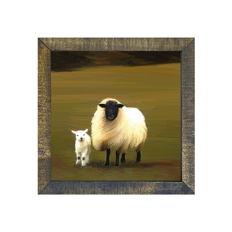 Sheep and lamb