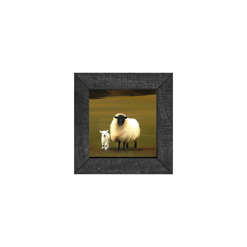 Sheep and lamb