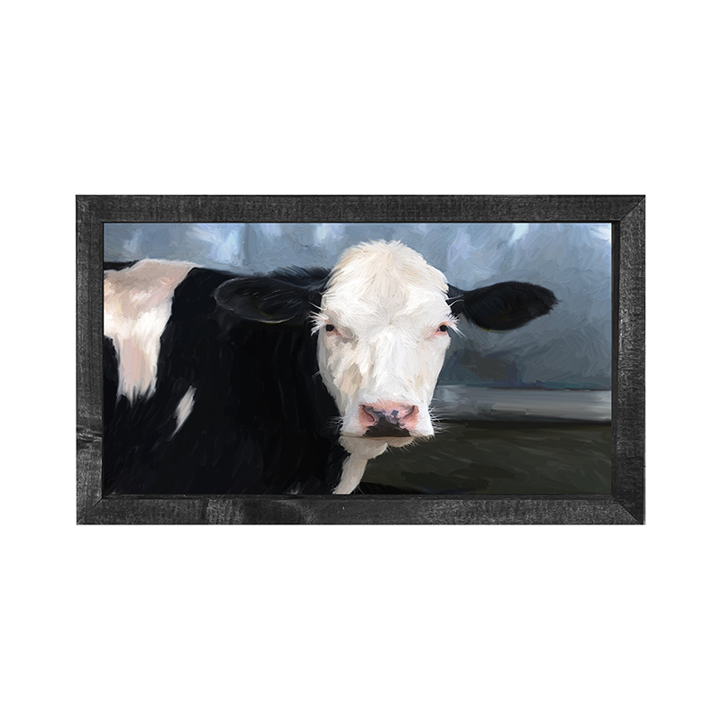 Holstein Cow white face