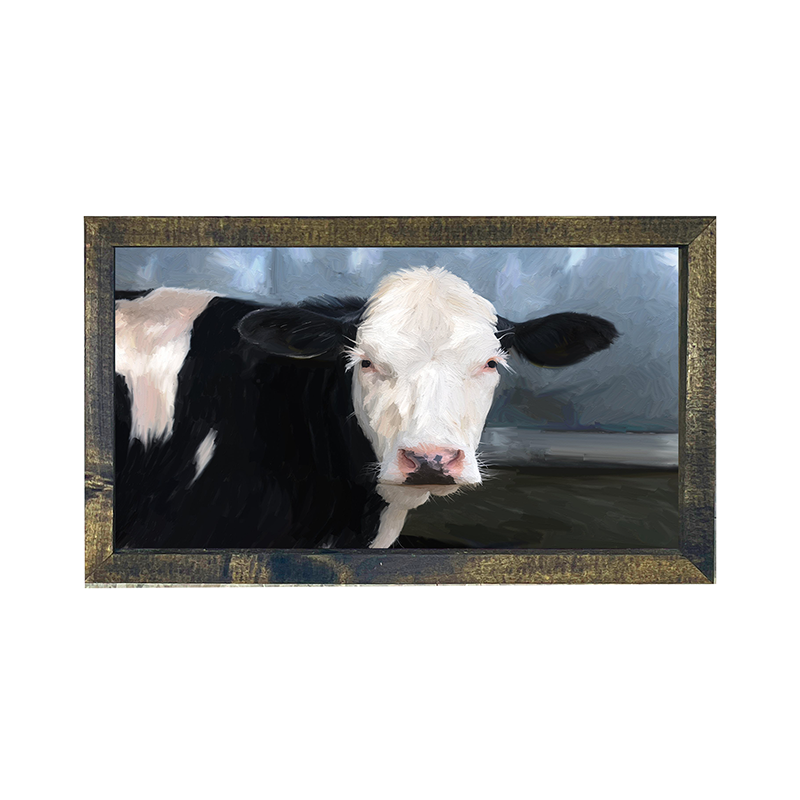 Holstein Cow white face