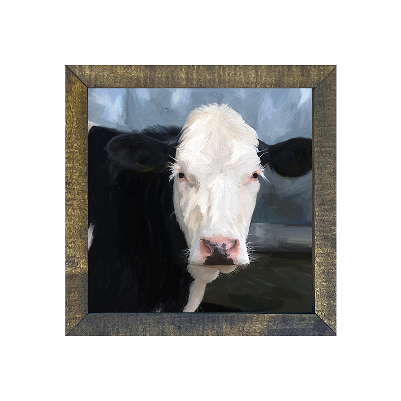 Holstein Cow