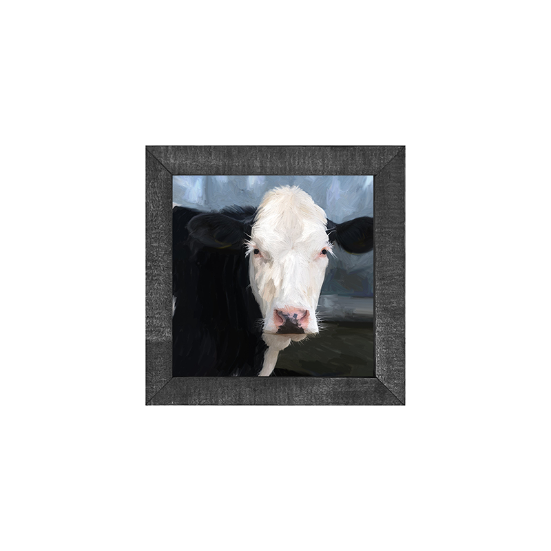 Holstein Cow