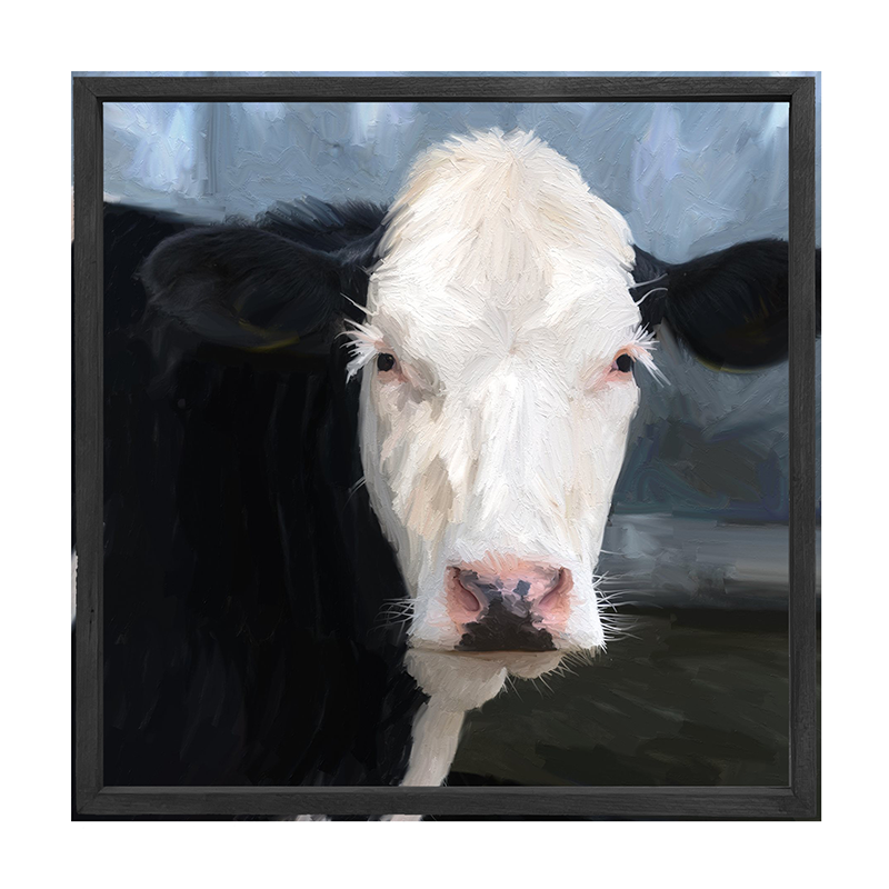 Holstein Cow