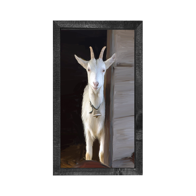 White horned goat