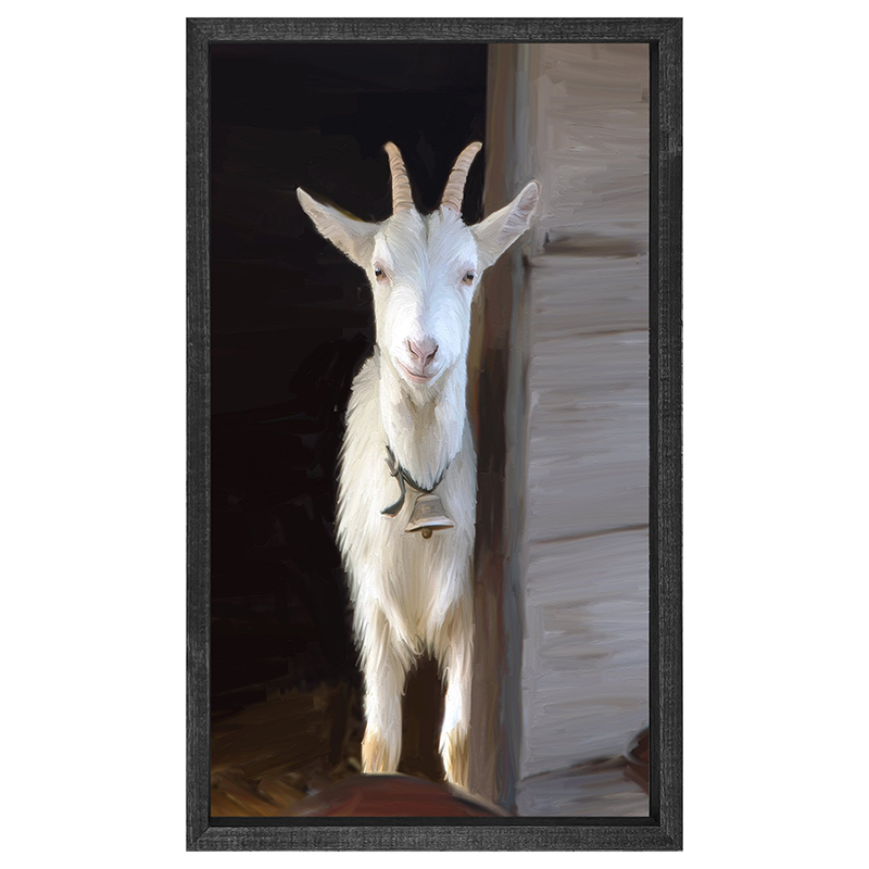 White horned goat