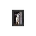 Gallery Frame